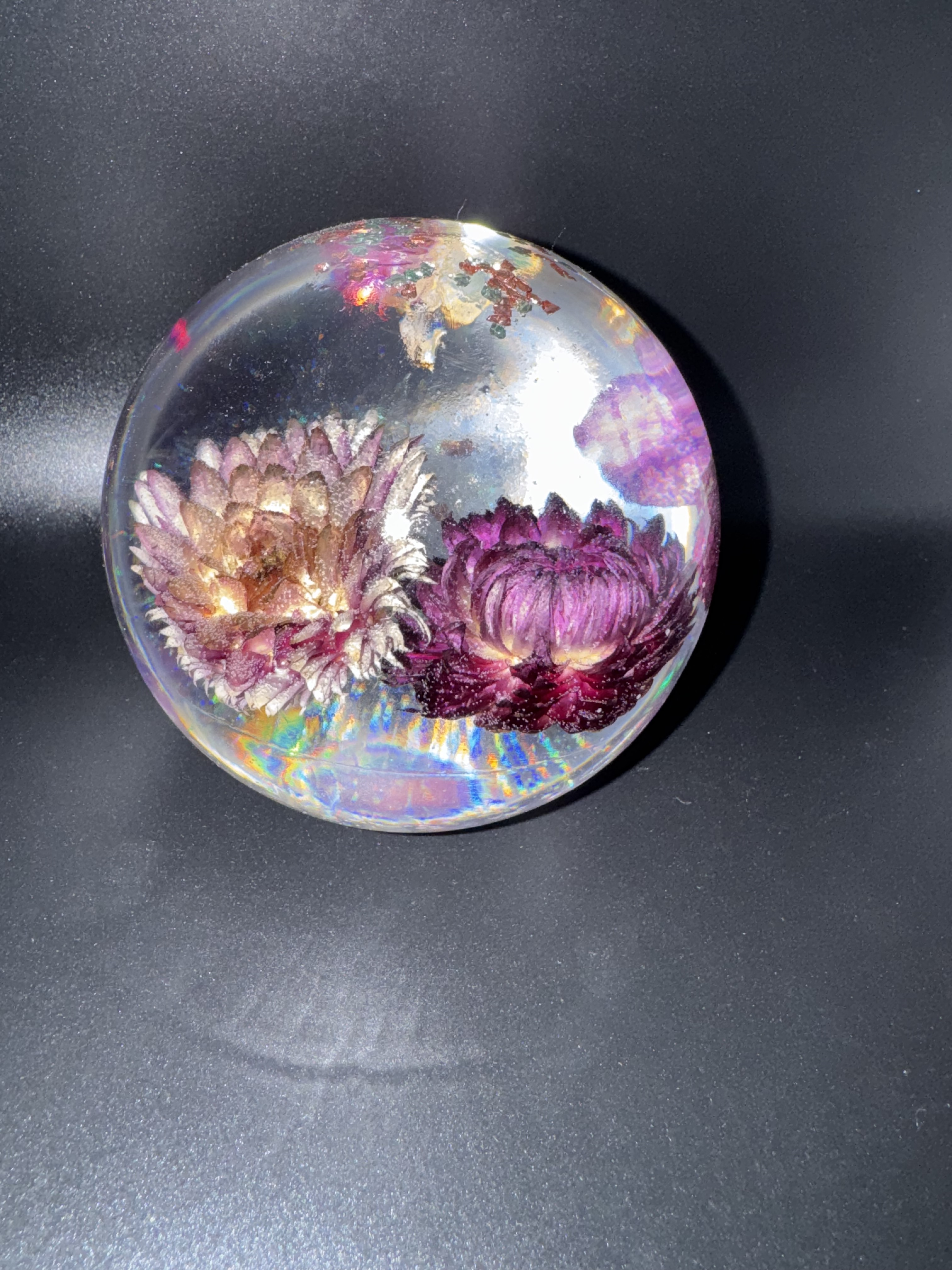 Resin Globe Photo 1