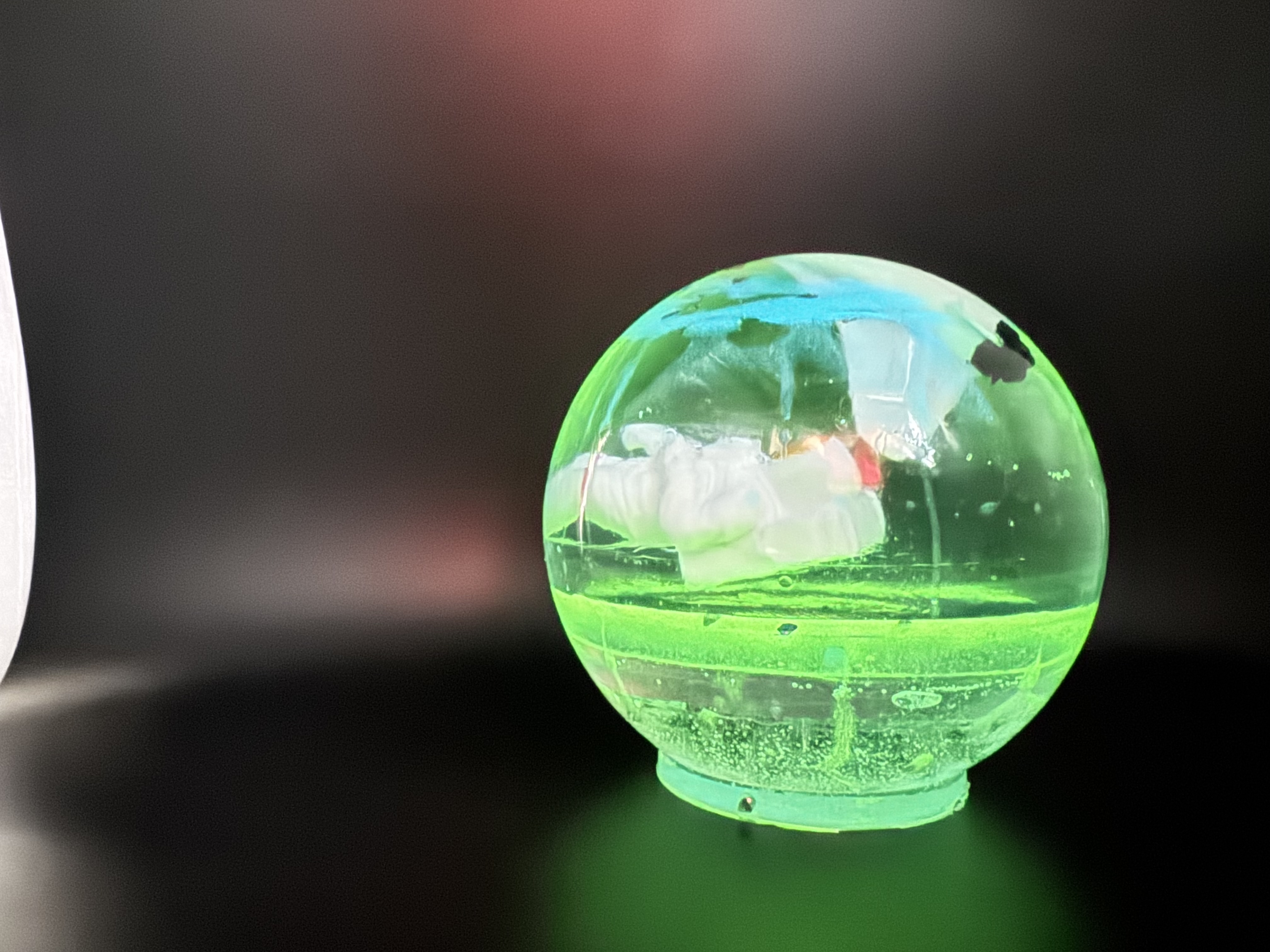 Resin Globe Photo 3